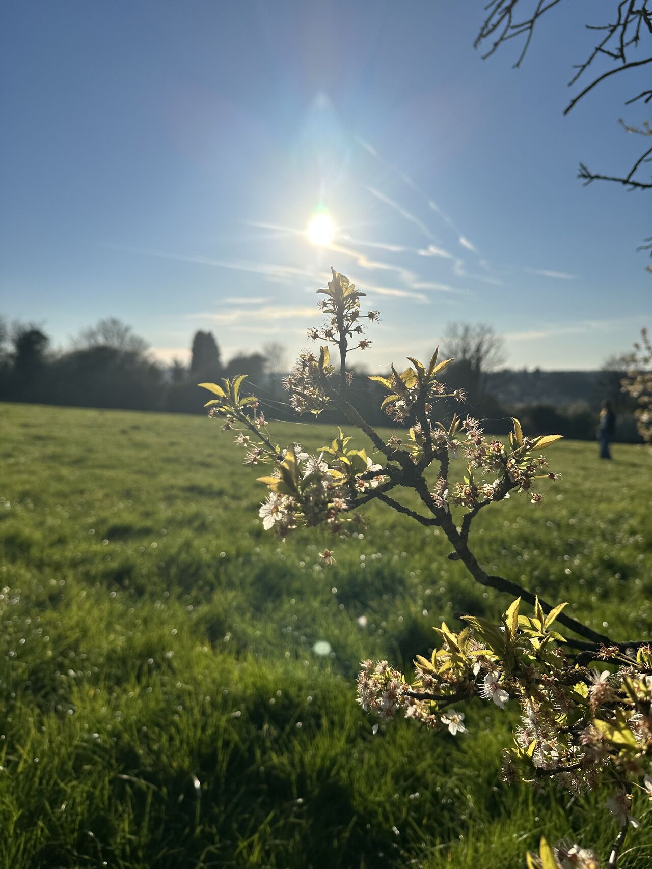 LinkedIn post image: I set myself a target of posting every Friday. That has not happened 😆