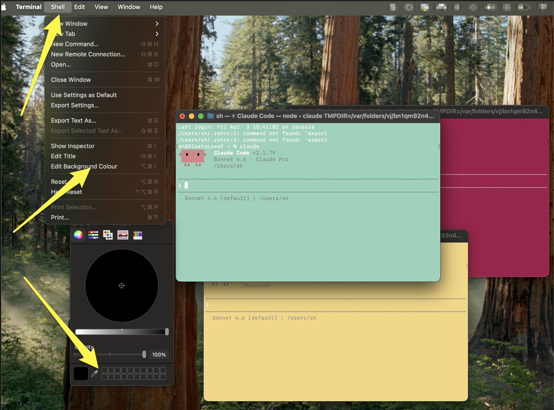 LinkedIn post image: Working in Claude Code just got way more COLOURFUL!! Did you know you could colour code your terminal shells?!