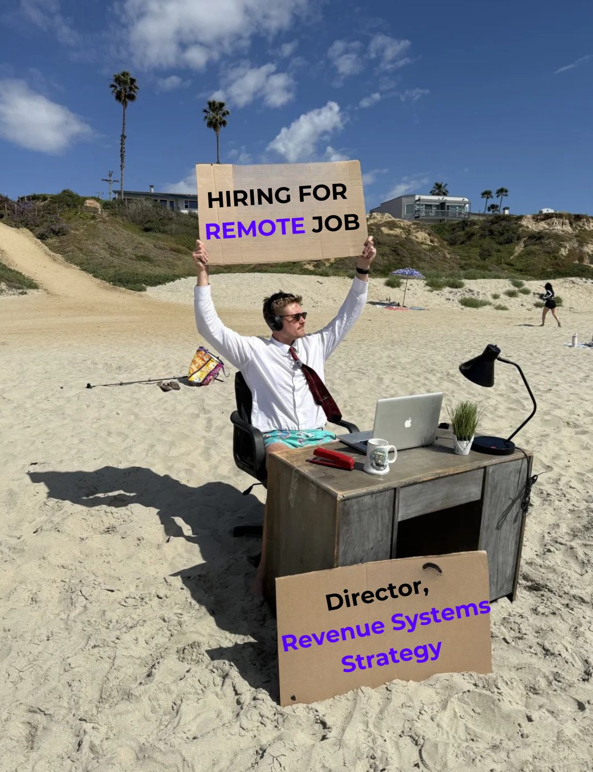 LinkedIn post image: Amazing Job opportunity for a Director of Revenue Systems Strategy!