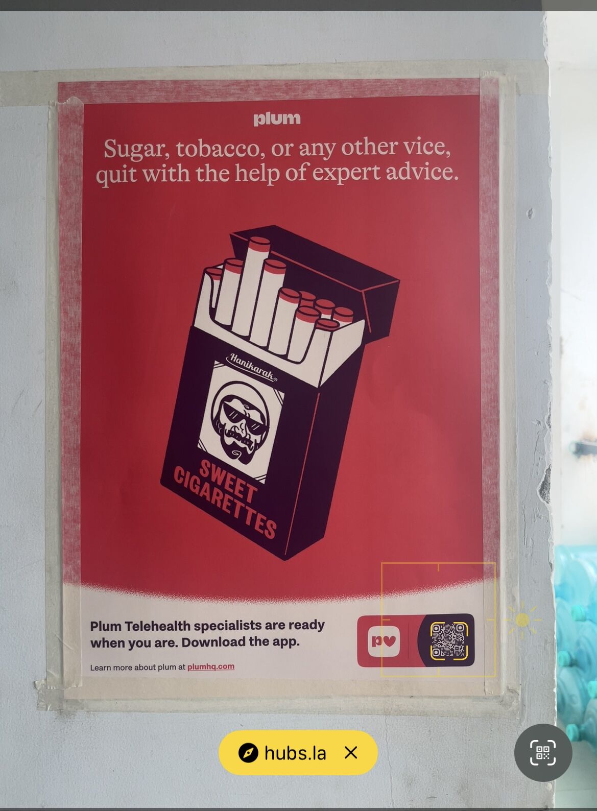 LinkedIn post image: This Plum poster made me stop.