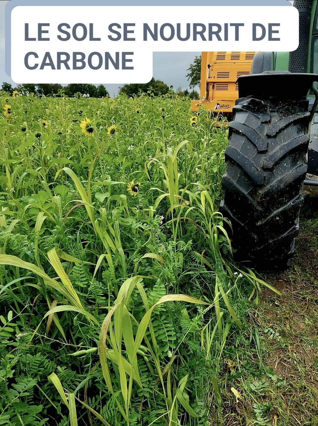 LinkedIn post image: Le plus grand mensonge en agriculture ? Croire que le sol se nourrit d'engrais.