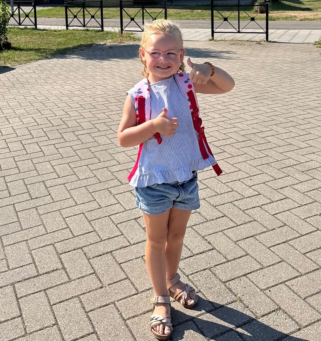 LinkedIn post image: Onze Nova gaat bijna naar school, en dat is best even wennen!